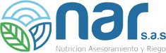 Narsas