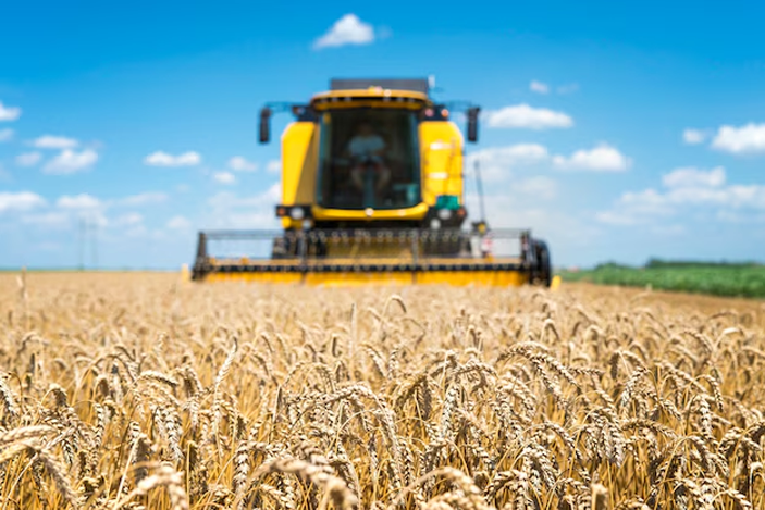 Avances en Nutrición Vegetal: Cultivos Más Fuertes y Productivos SQM y Proveco