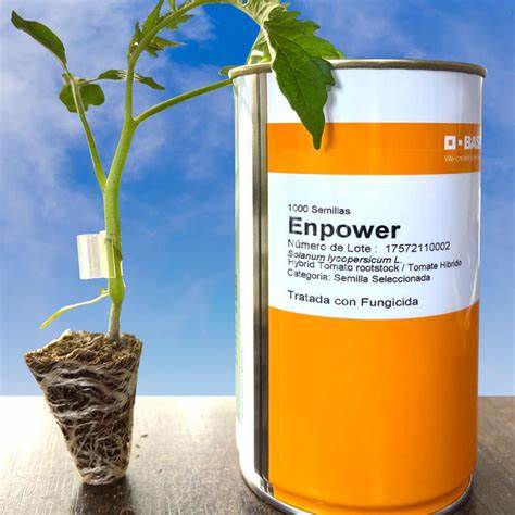 Enpower F1